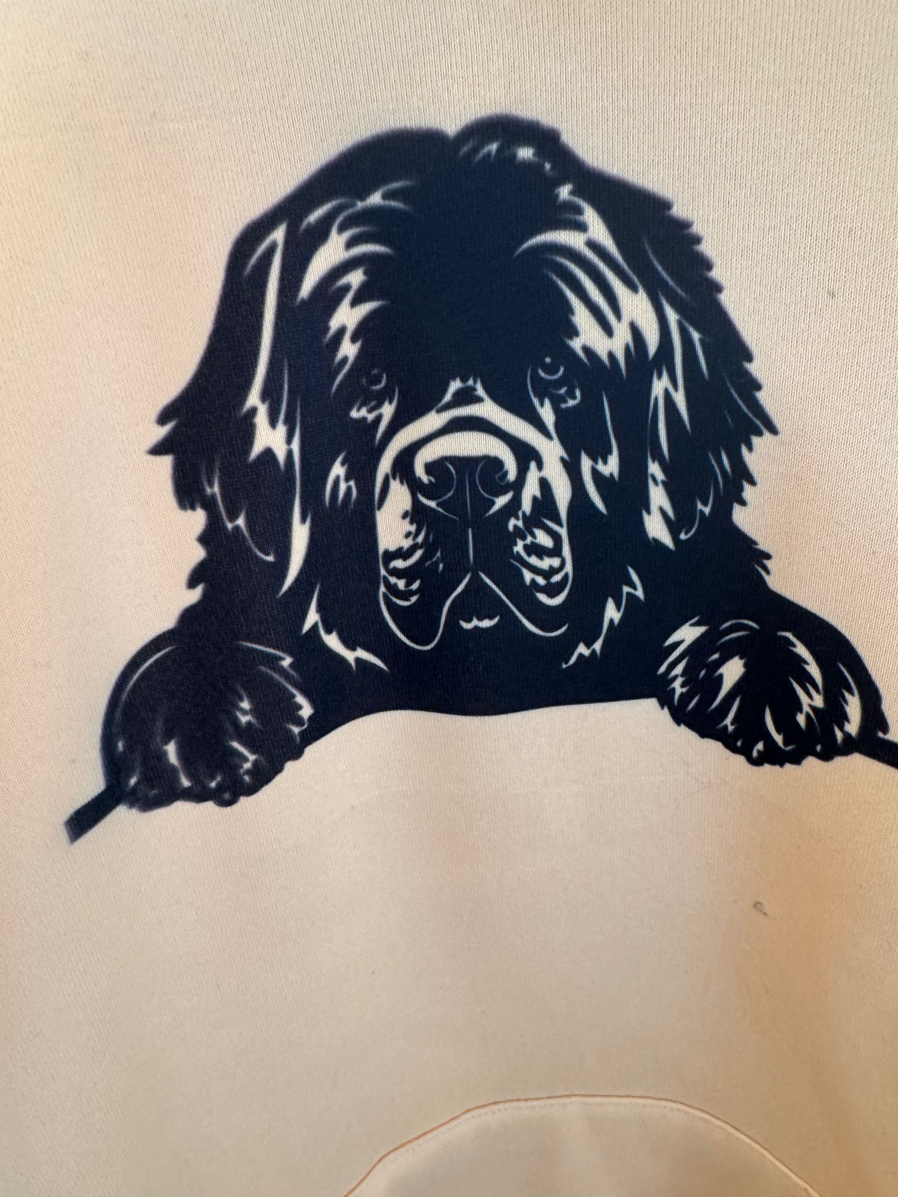 Bluza „Nowofundland” – żółta, rozmiar L