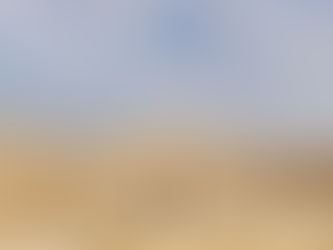 מי רוחניק מי?