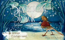 Okładka