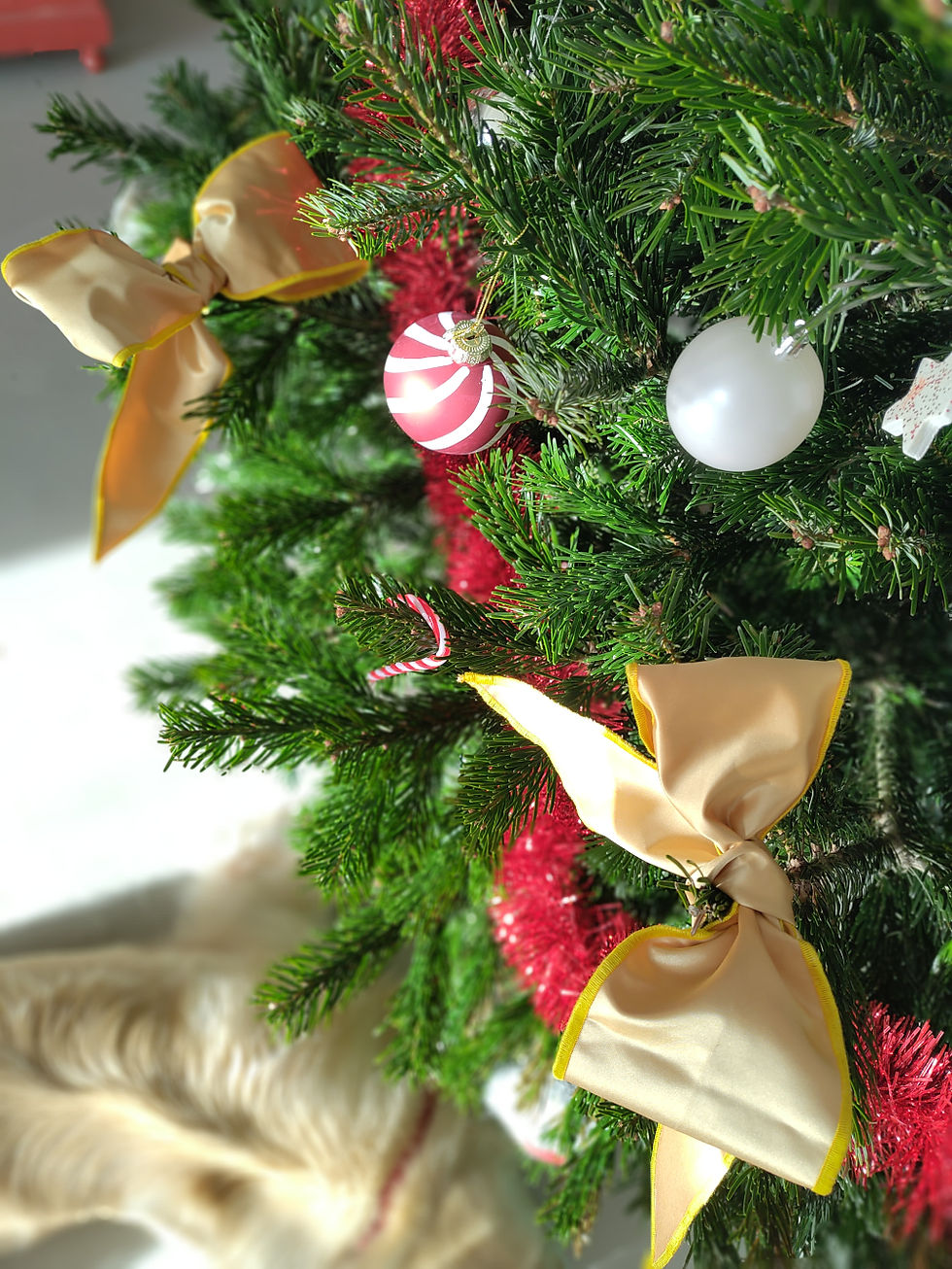 Miniature : Rubans décoratifs en tissu upcyclé