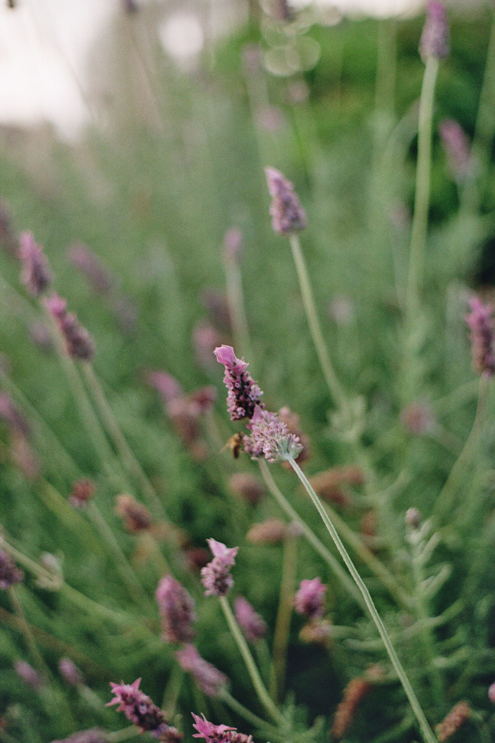 img0025.jpg