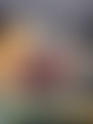 Our SE Asia Adventure 2026 - our final stop: a closer peek at Kuala Lumpur, Malaysia - nature, tea, dim sum, art, and a little jungle trek (and there is still plenty left for ‘next time’)