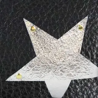 Thumbnail: The Star Applique Eyeglass Case