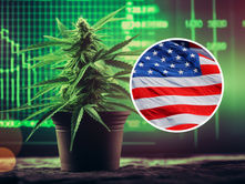 Missouri's Daily Marijuana Sales Surge to $4 Million Breaking Records