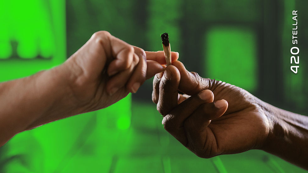 Medical Cannabis Vs Recreational Marijuana
