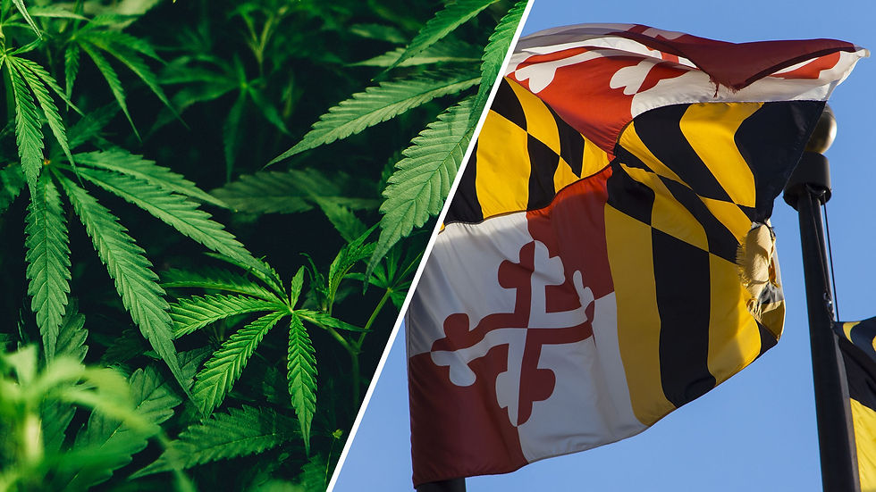 maryland cannabis