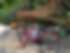 2022-06-05_15-39-05_038.heic