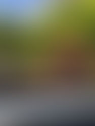 ツアー開始について