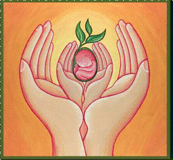 Massaggio Metamorfico