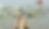 BANNER2_edited_edited.png
