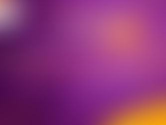 Conferencia: “Inclusión de niños rarámuris en la prevención de distintas patologías.”