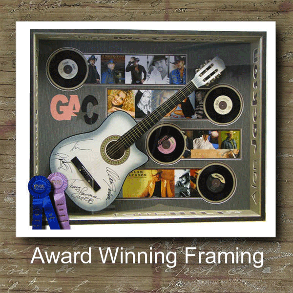 First Place PPFA Guitar Shadowbox