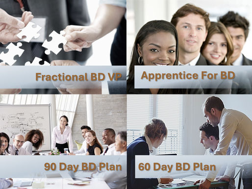 The 4 Ways That I Help A/E/C PRINCIPALS Improve Their BD Efforts