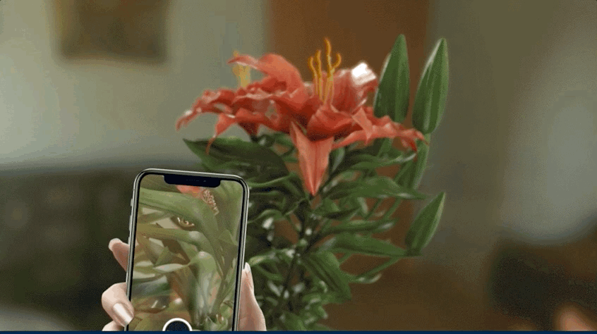 Mar-15-2021 11-49-22.gif