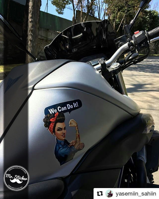 Mr.Sticker-PNP47 Pinup Kizi Etiketi-1