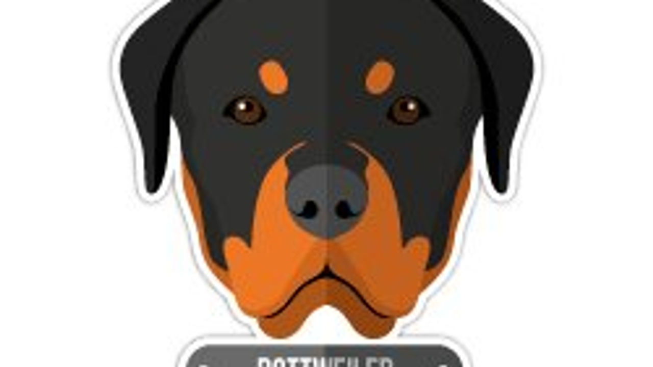 ANDG22- Rottweiler Kopek Etiketi