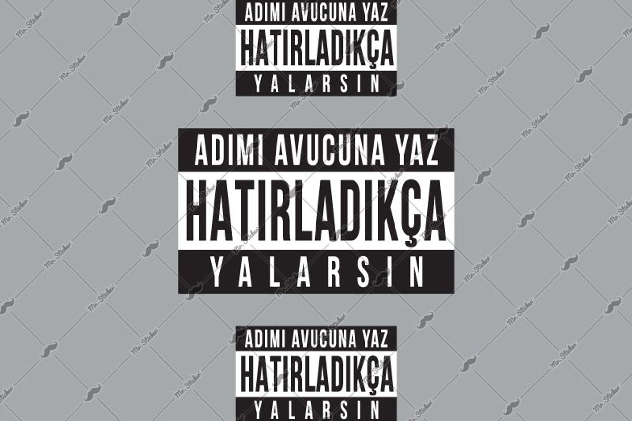 RFHLM197 V2 Adimi Avucuna Yaz Yazili Etiket Seti