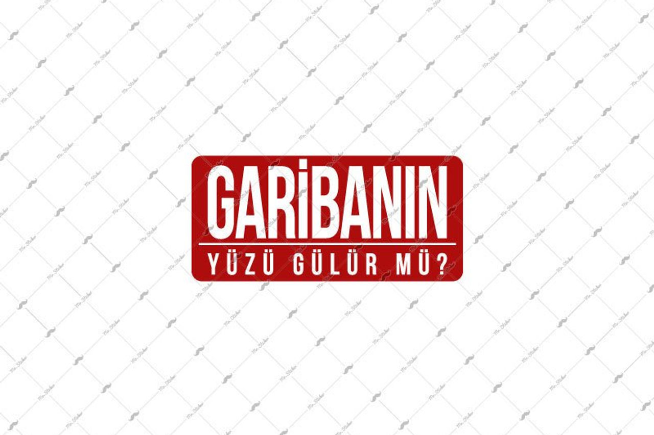 ESP71 V3 Garibanin Yuzu Gulur mu?