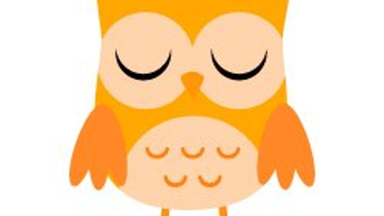 ANOW8- Turuncu Baykus Etiketi