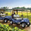 Thumbnail: Golf Car