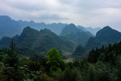 DSC01419.jpg