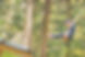S__57458691.jpg