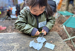 S__81018910_0.jpg