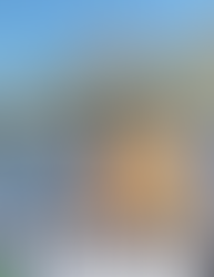 Newsletter - October 2024