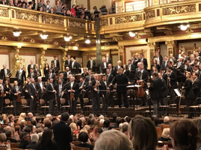 Wiener Philharmoniker Orchester
