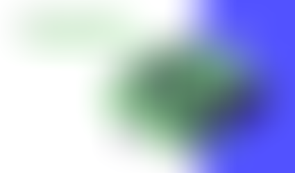 First Presentation - Mindbenders