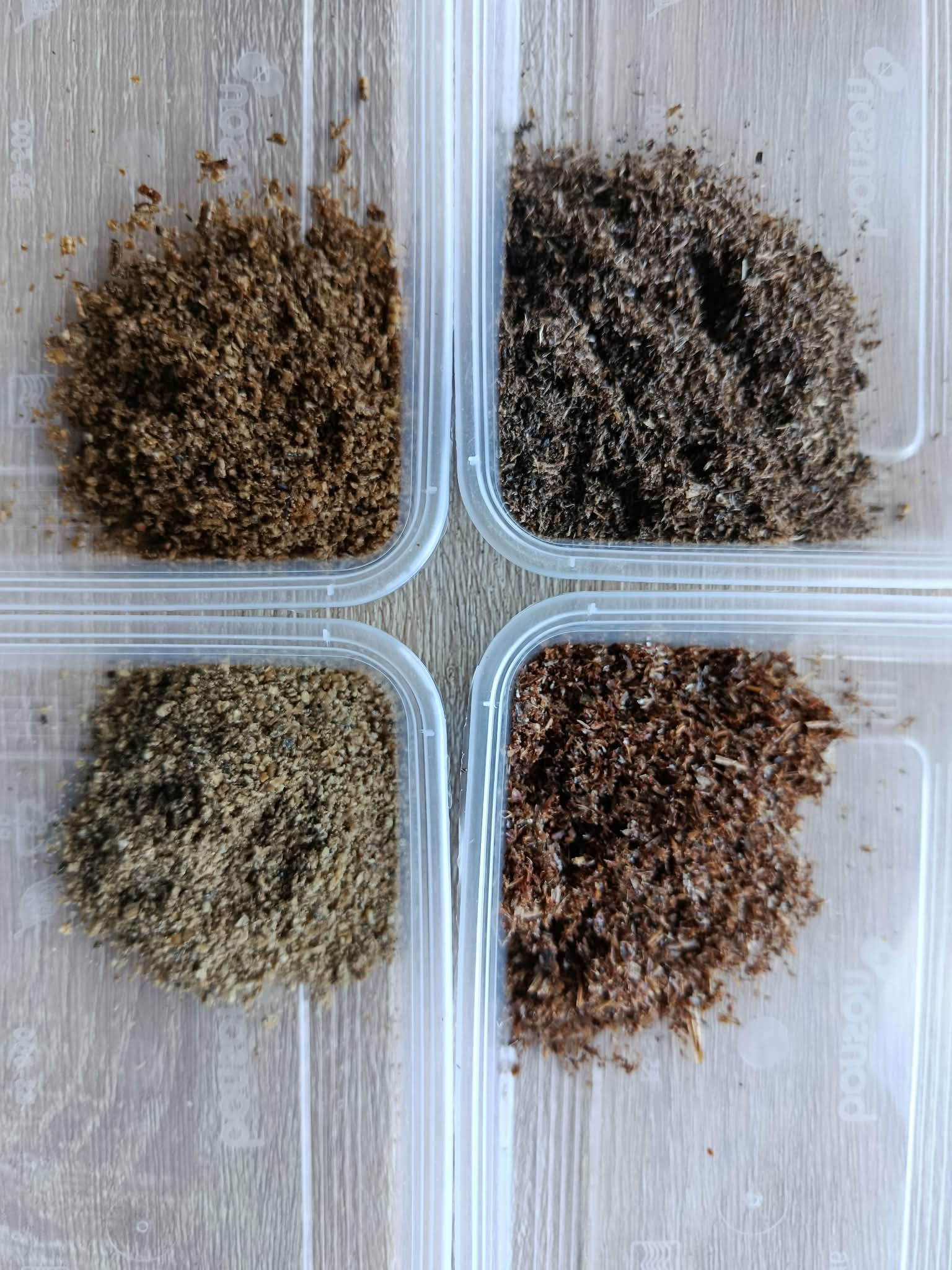 Insect Flakes