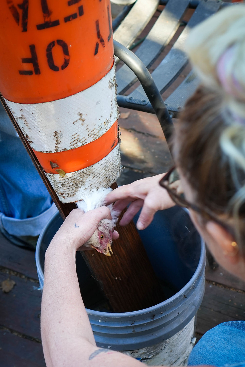 The makeshift processing cone, straight from the streets of Goleta, California