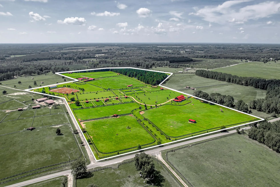 The Whole Farm