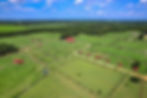 Overview