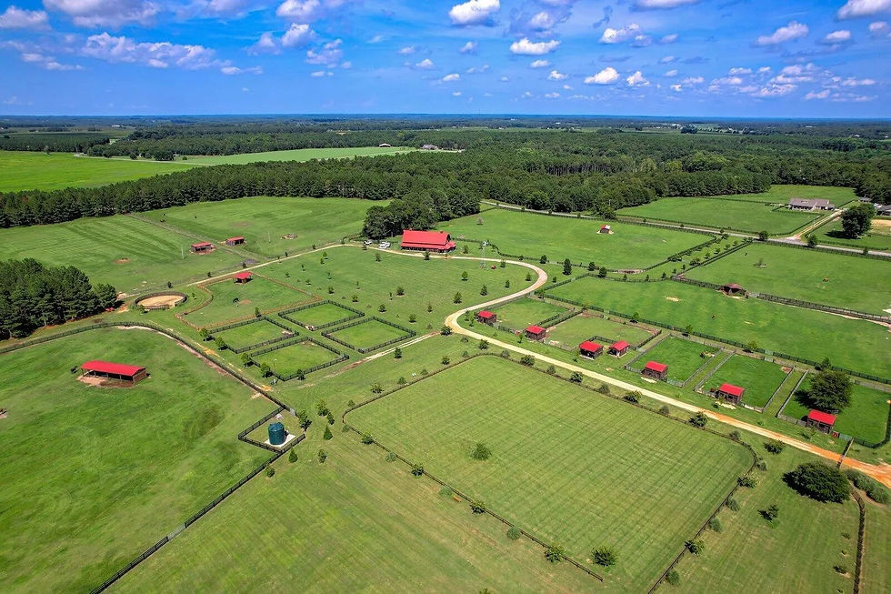 Overview