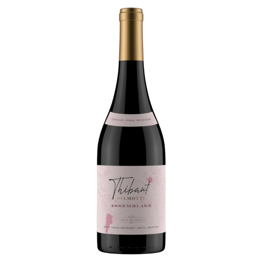 Thibault Delmonte Natural Grenache Syrah