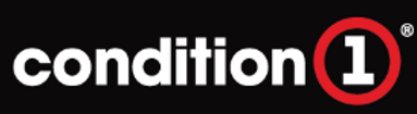 condition 1.png
