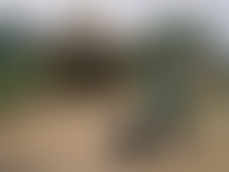 Et la diaspora dans tout ça ?