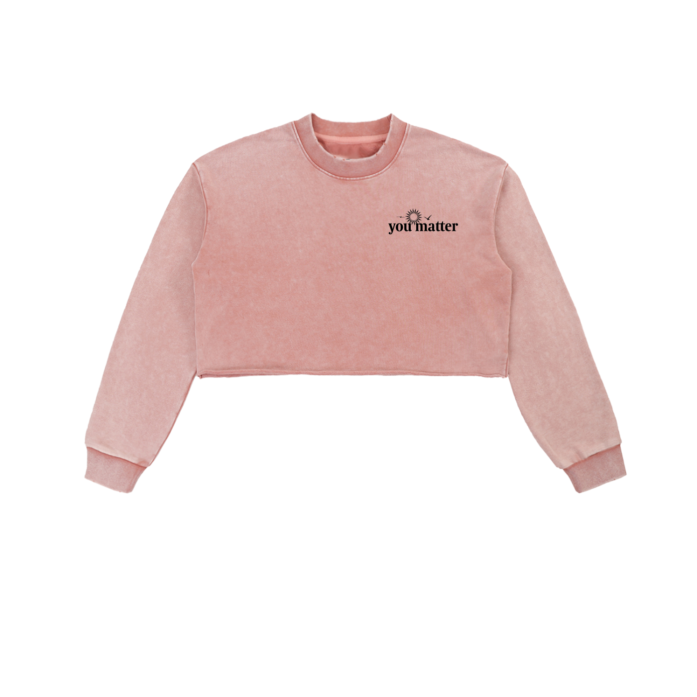 OS women's vintage worn cropped sweatshirt