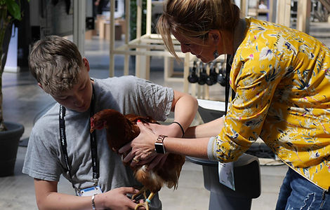 WhatsApp Image 2026-02-26 at 4.12.30 PM.jpeg