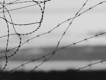 Barbed wire