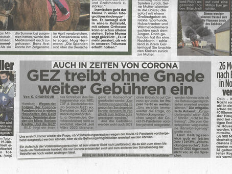 Bild: Deutschlands größte Tageszeitung schaut heimlich mein Corona-GEZ-Video