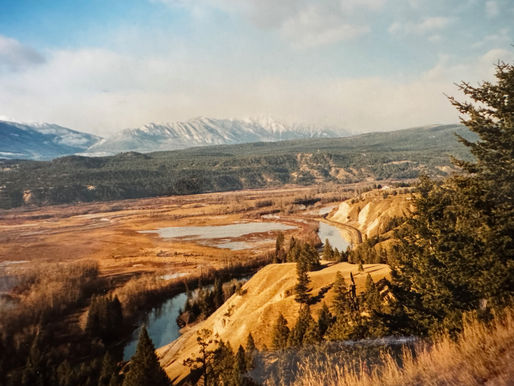 Canadian mountain scene, a valley runs into the distance where a snow-peaked mountain sits