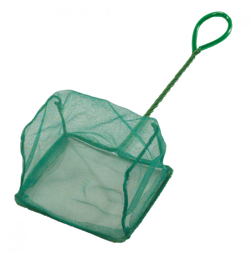 Epuisette