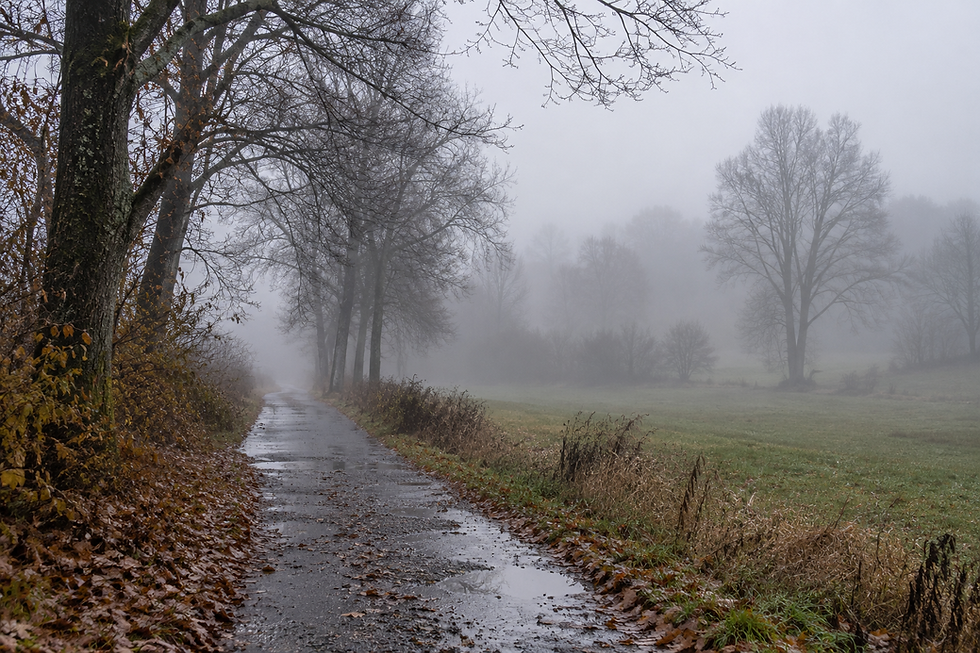 November