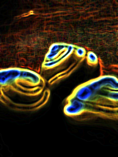 35-SHELLS-5 FOR-WEB.gif