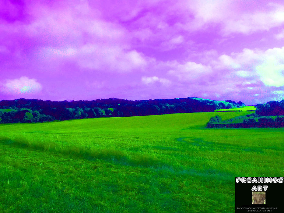 3 SULHAM FIELDS-2 psd copy.jpg