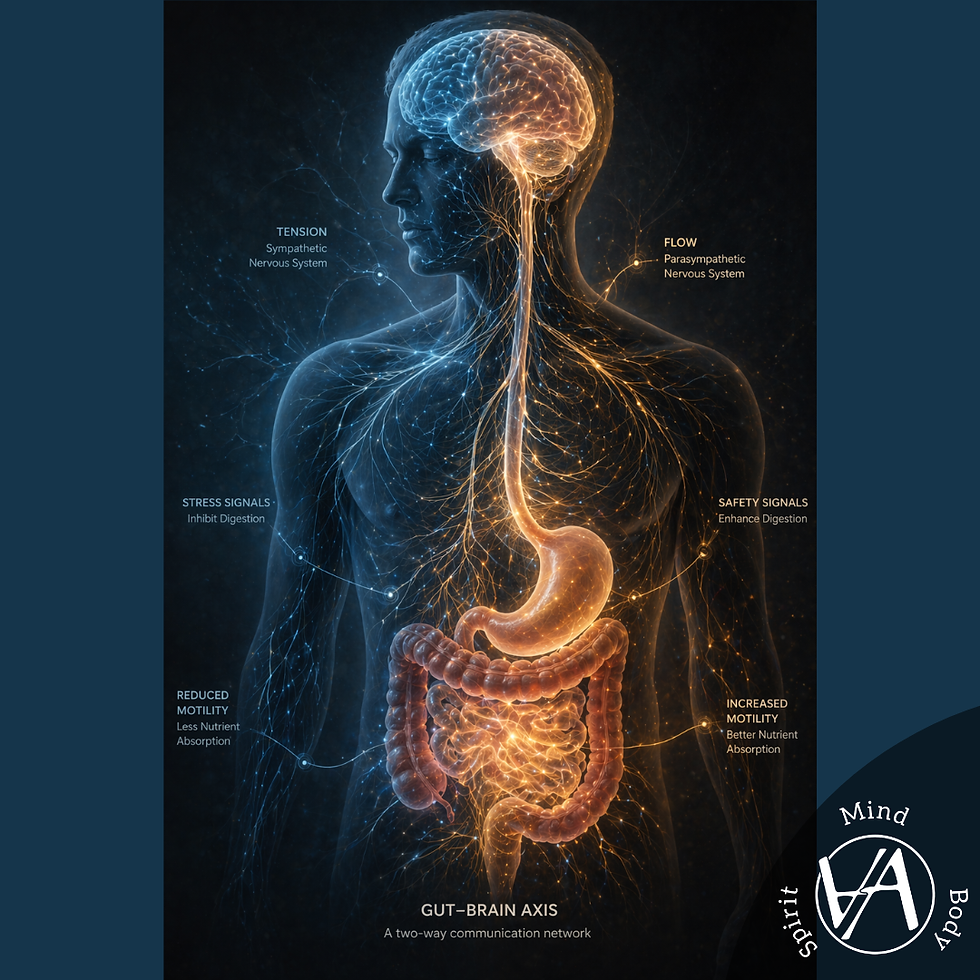 Une image conceptuelle représentant le système digestif relié au cerveau par un réseau nerveux. Le système nerveux est illustré comme influençant directement les fonctions digestives, avec une distinction visuelle entre tension et fluidité. L’image met en évidence le rôle de la régulation dans la digestion, au-delà des aspects purement alimentaires ou chimiques.