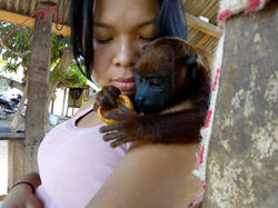 IMG_20190928_122922940