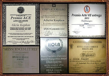 danisarte-awards-aliciakaplan.jpg
